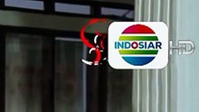 InShot_20260807_055223812