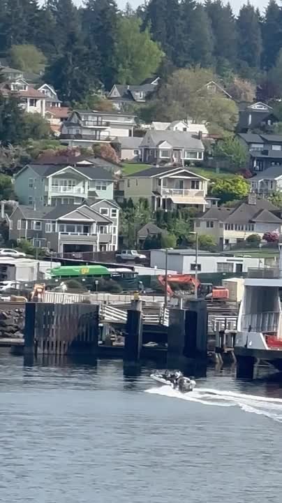 Passed-Out Boat Driver Narrowly Misses Ferry Before Crashing Into Shore