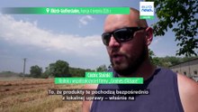 Susza w Alzacji: rolnicy stawiają na rośliny strączkowe