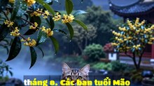 🐉 Mão (Mèo) - Tử Vi Con Giáp 07/08/2026