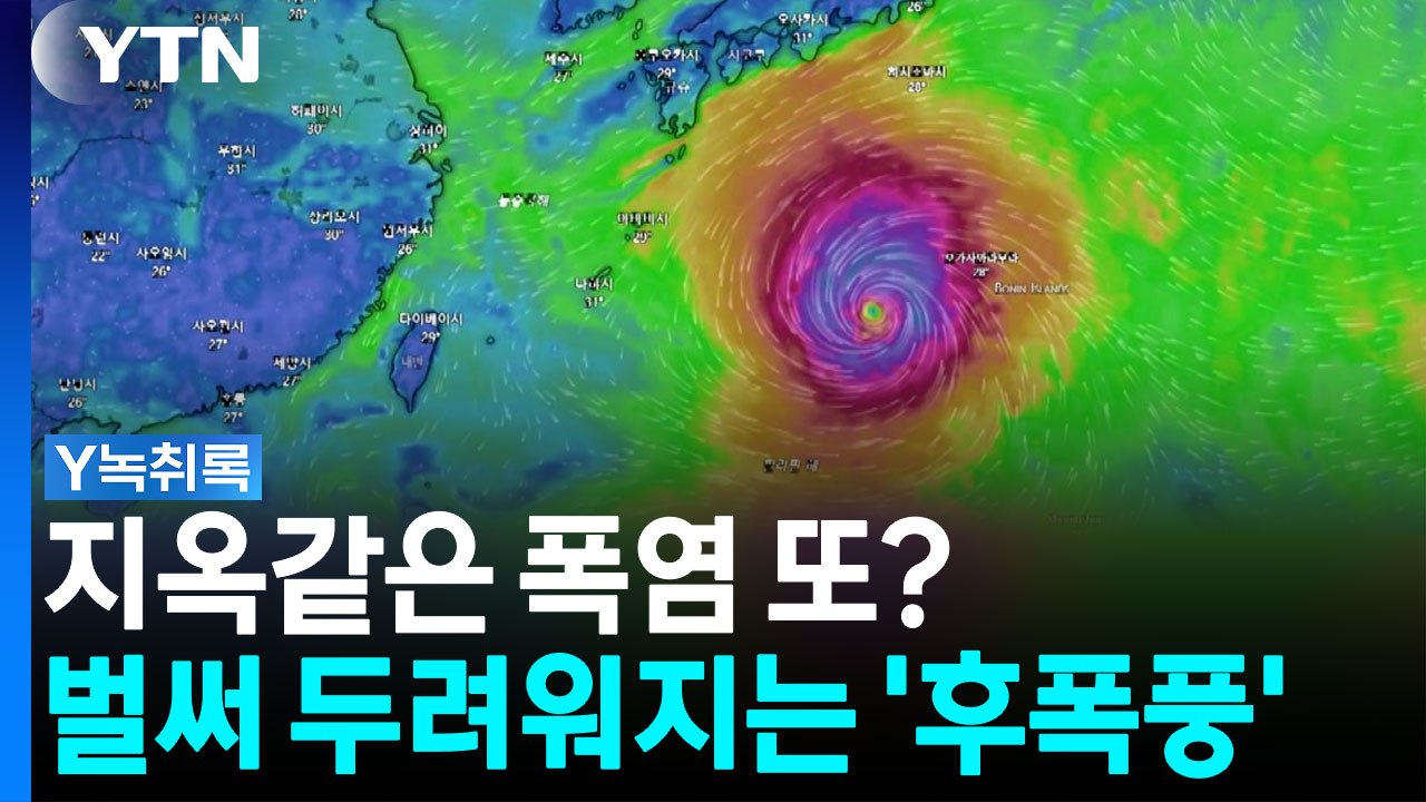 '돌핀' 중국 상륙, 끝 아니다...벌써 두려워지는 시나리오 [Y녹취록] / YTN