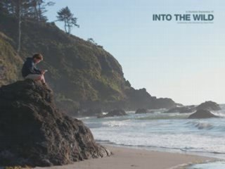 Into the wild Eddie Vedder Guaranteed