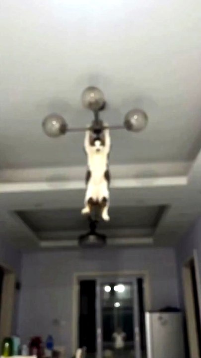 Please Help Me. . 😸😸😸