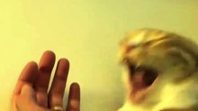 Stop Bite Me. . .🙀😸😸