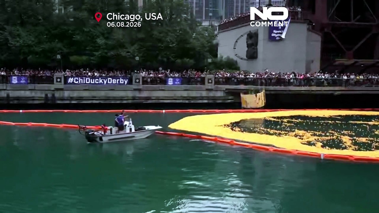Chicago Nehri'nde 90 bin lastik ördek, bağış için yarıştı