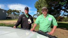 Strathalbyn store cattle sale - 7th August, 2026