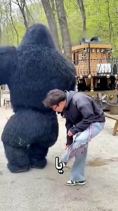 شاهدوا سبب لمسي لهذه الغوريلا ❤️🦍