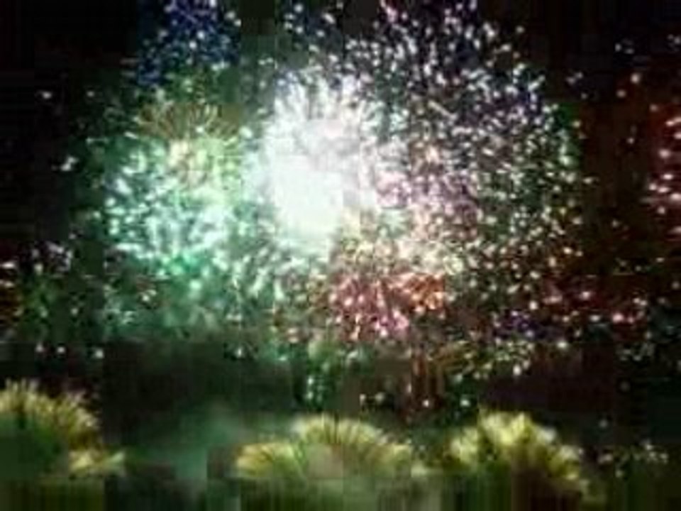 Feu d'artifice 14 juillet 2008 Angers