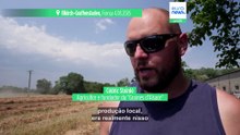 França: agricultores da Alsácia apostam nas leguminosas perante a seca