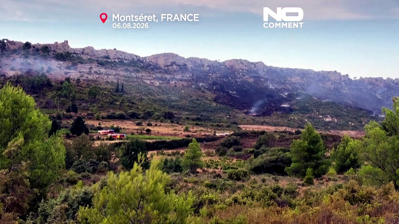 Wildfire burns 100 hectares near Narbonne in France