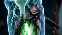 Nessuna misericordia per il traditore Alpha | Film Completo in Italiano