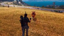 CAUSE 3