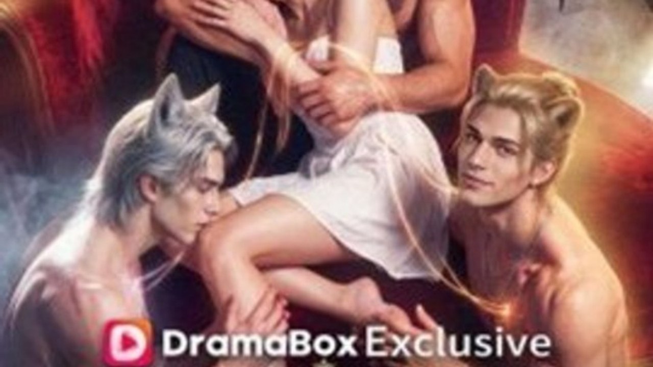 Shifter Academy: Taming Three Wild Mates EP