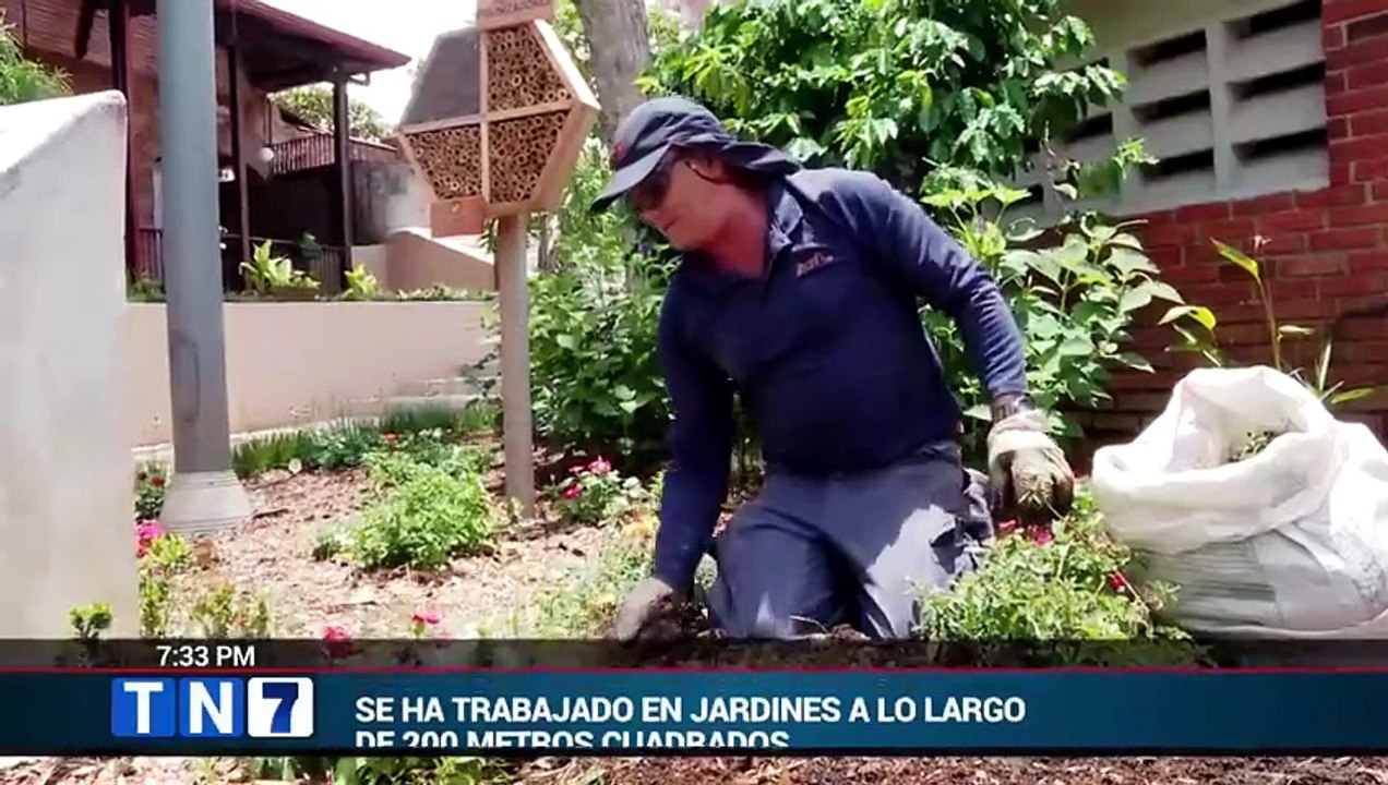 tn7-publi-coopecaja-de-buenas-noticias-110526 [Full Movie]