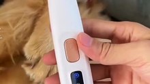 Pet Paw Trimmer with LED Light – Waterproof Cordless Dog Grooming Clipper, $10.99