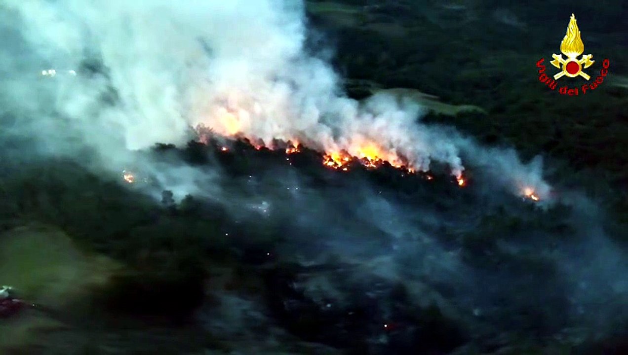 Canossa, un fulmine scatena un incendio nei boschi di Vedriano