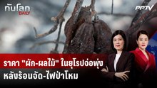 ราคา "ผัก-ผลไม้" ในยุโรปจ่อพุ่ง หลังร้อนจัด-ไฟป่าโหม | ทันโลก DAILY | 7 ส.ค. 69