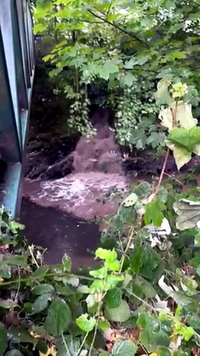 Sewage spills into the River Tavy