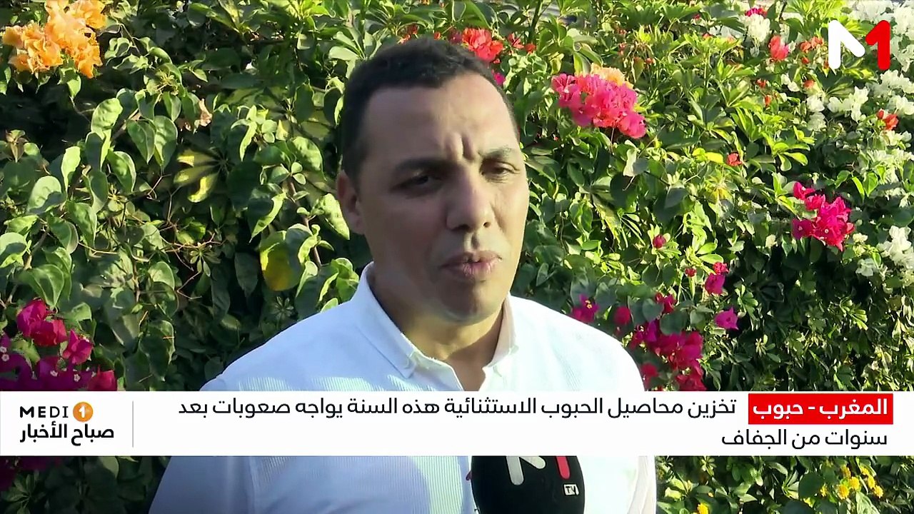 النشرة الصباحية  07/08/2026