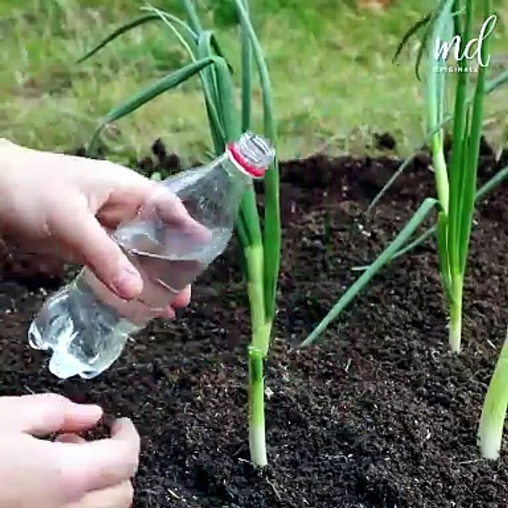 Easy & smart hacks you never thought of before!