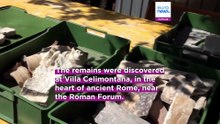 Surprise discovery as ancient domus uncovered beneath restoration site in Rome