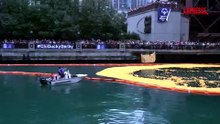 Chicago, il fiume invaso da paperelle di gomma per un'iniziativa benefica