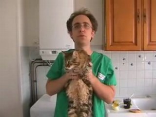 Expérience amusante: le Chat et la tartine