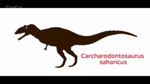 PPC - Pterosaurs vs. Dinosaurs (resounded)