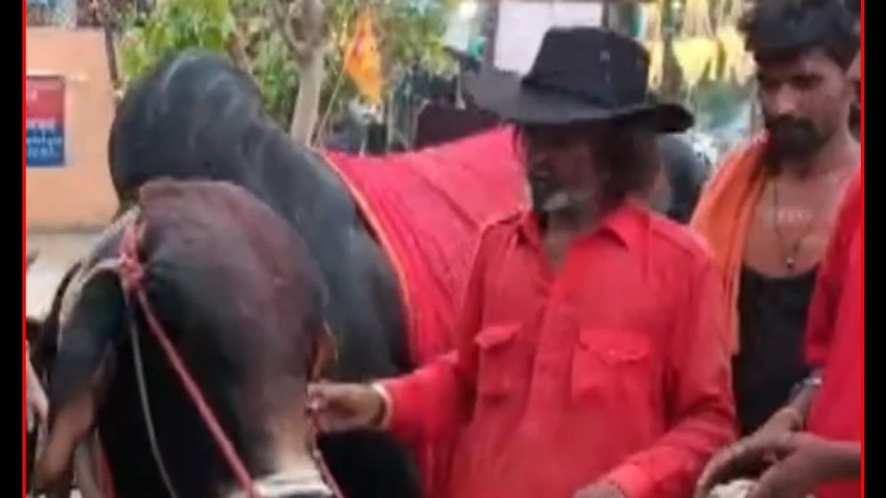 Kanwar Yatra में दिखा भक्ति का अनोखा रूप, 800 किमी पैदल चला शिवभक्त!