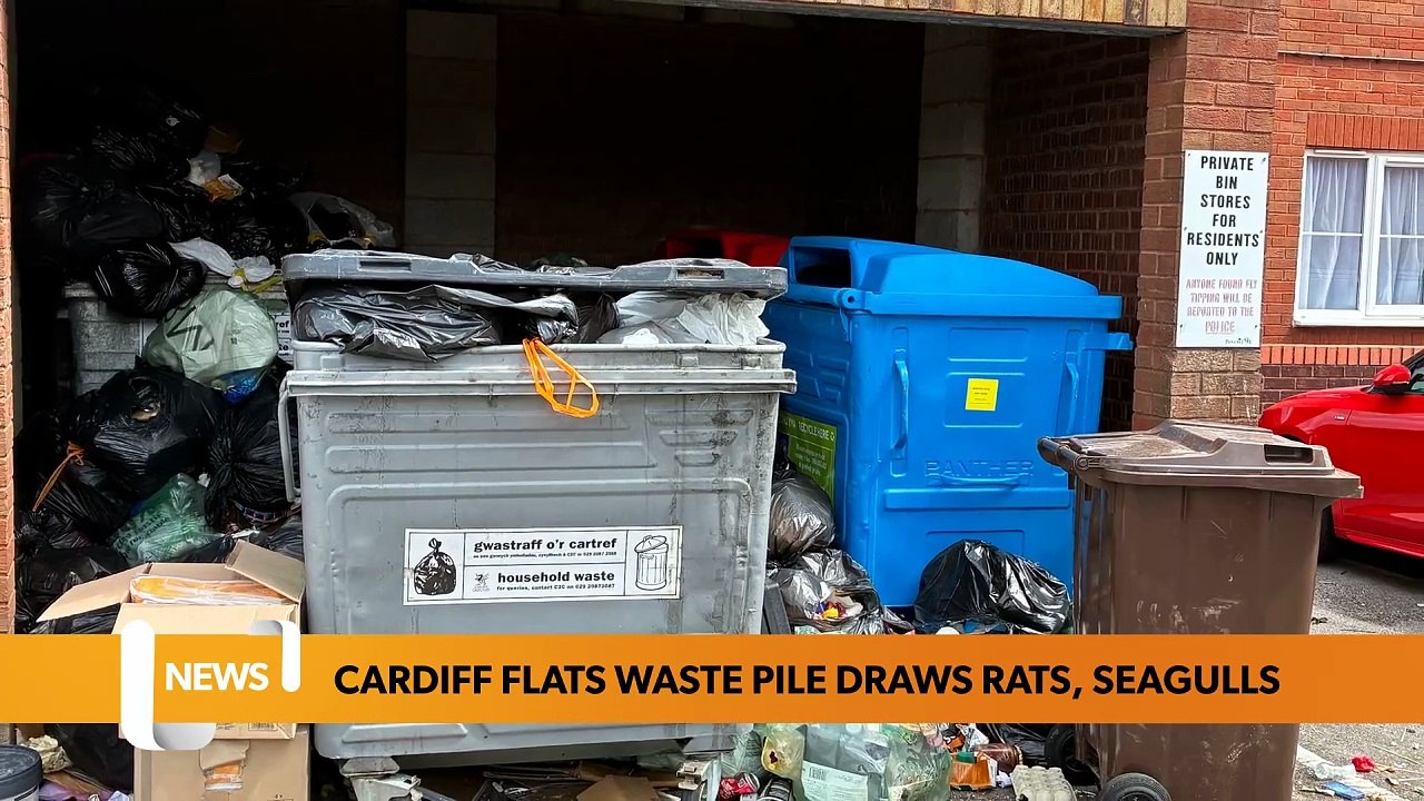 Cardiff flats waste pile draws rats, seagulls