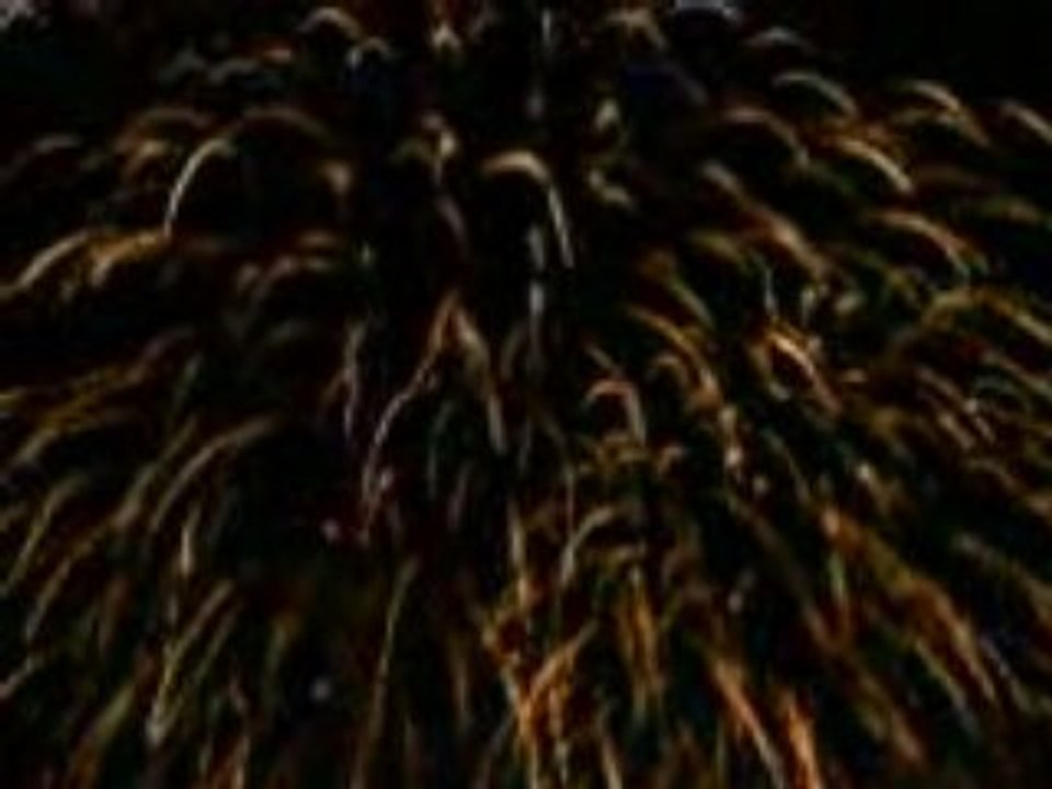 feu dartifice   a angers  2008