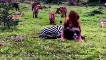 Apex Predators of Africa: Lions Hunting Zebra, Giraffe, and Wildebeest