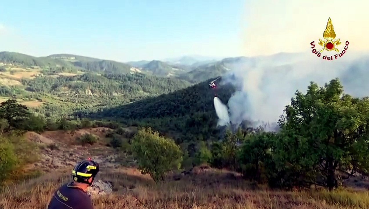 Incendio di Bosco a Vedriano: in azione l'elicottero dei vigili del fuoco