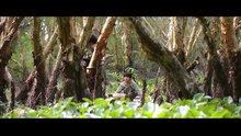 Tập 2 - Đất Rừng Phương Nam _ DV Bảo Ngọc, Hạo Khang, Hồng Ánh, Mai Tài Phến, Trấn Thành, Tuấn Trần