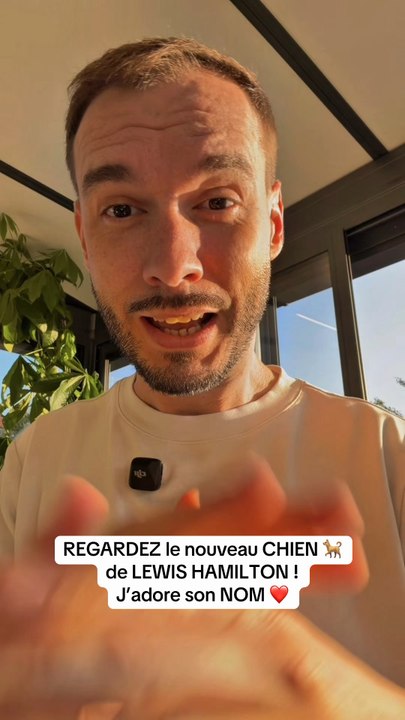 Il est trop mignon