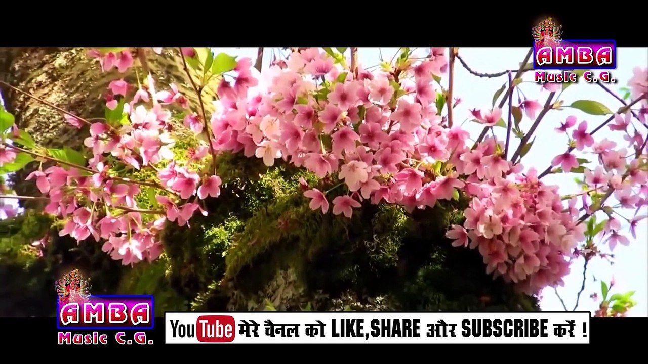 2021 KARMA HITS VIDEO JUKEBOX - अलका परगनिहा ...