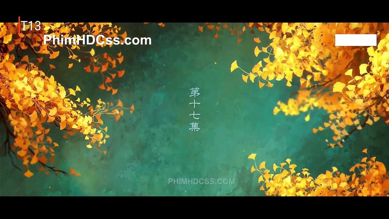 bhs17hd