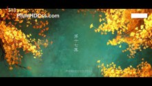 bhs17hd