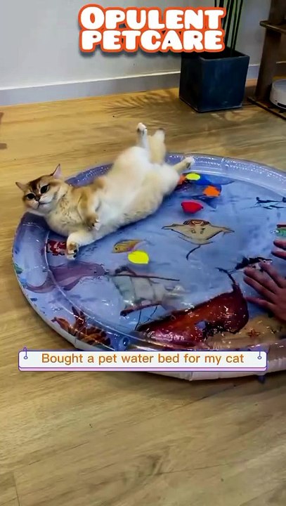 Summer Cooling Pet Water Mat – Splash Pad Ice Bed for Cats & Dogs, $12.22 (13% Off)