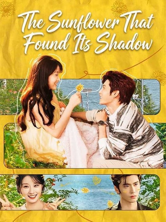 The Sunflower That Found Its Shadow - FULL EPISODE ENGLISH SUB
