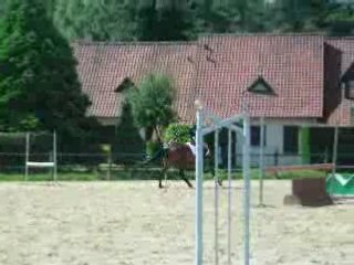 Galop 4 obstacle avec Lady
