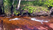 Water streams in Litchfield National Park