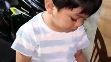 Gidistorbo sa dog ang pagselpon-selpon ni Grey