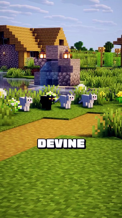 Qui est l'INTRUS ? 🤔