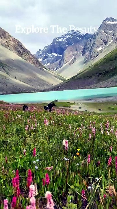 Amazing Scenes | Explore the Beauty #natutre