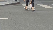Rescued a hamster #animals #wildliferescue #lovestory #pets #rescueefforts #cute #rescue #hamsterA kind woman rescued a hamster in danger on the road and then this happened...