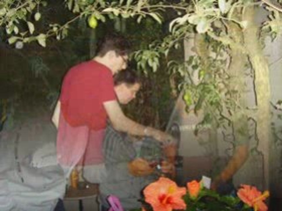 18 ans de ben