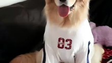 Hi, cute! Look at that! Look at that! Let's go