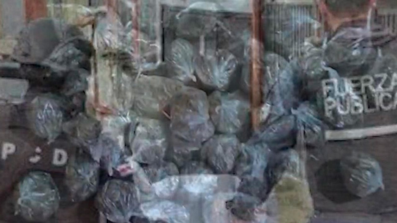 TN7-PCD realiza allanamientos y detiene a cinco personas