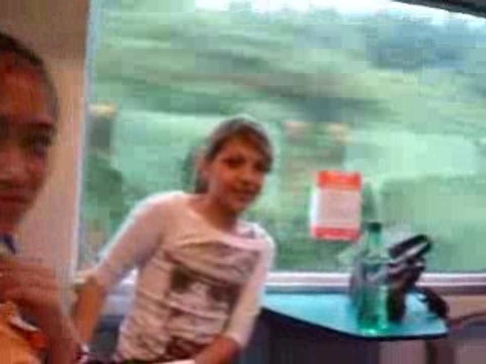 Voyage Scolaire , Dans le train !